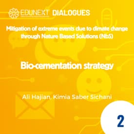 [02] Bio-cementation strategy