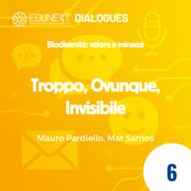 [06] Troppo, Ovunque, Invisibile