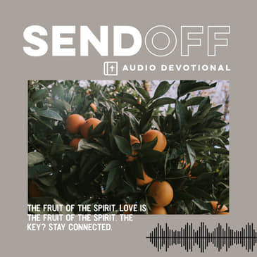 The Fruit of The Spirit