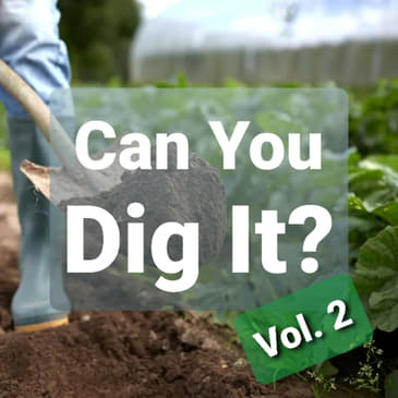 Ep. 21 - Can You Dig It? Vol. 2