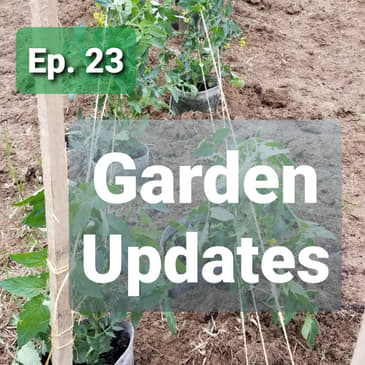 Ep. 23 - Garden Updates