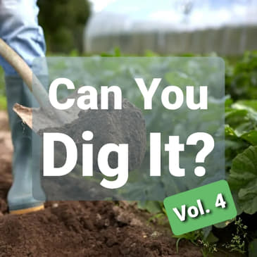 Ep. 37 - Can You Dig It?, Vol. 4: Brassicas, Tomatoes, TikTok and Plastics!