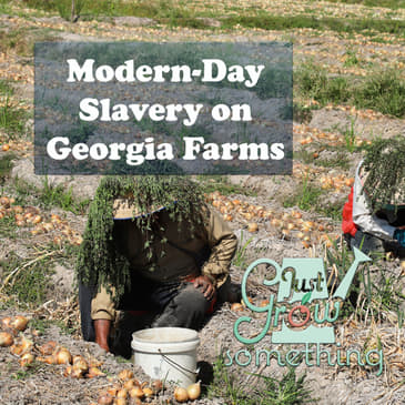 Ep. 71 - Modern-day Slavery on South Georgia Farms