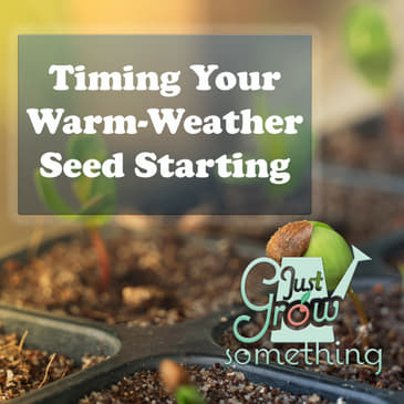 Ep. 75 - Timing Your Warm-Weather Seed Starting