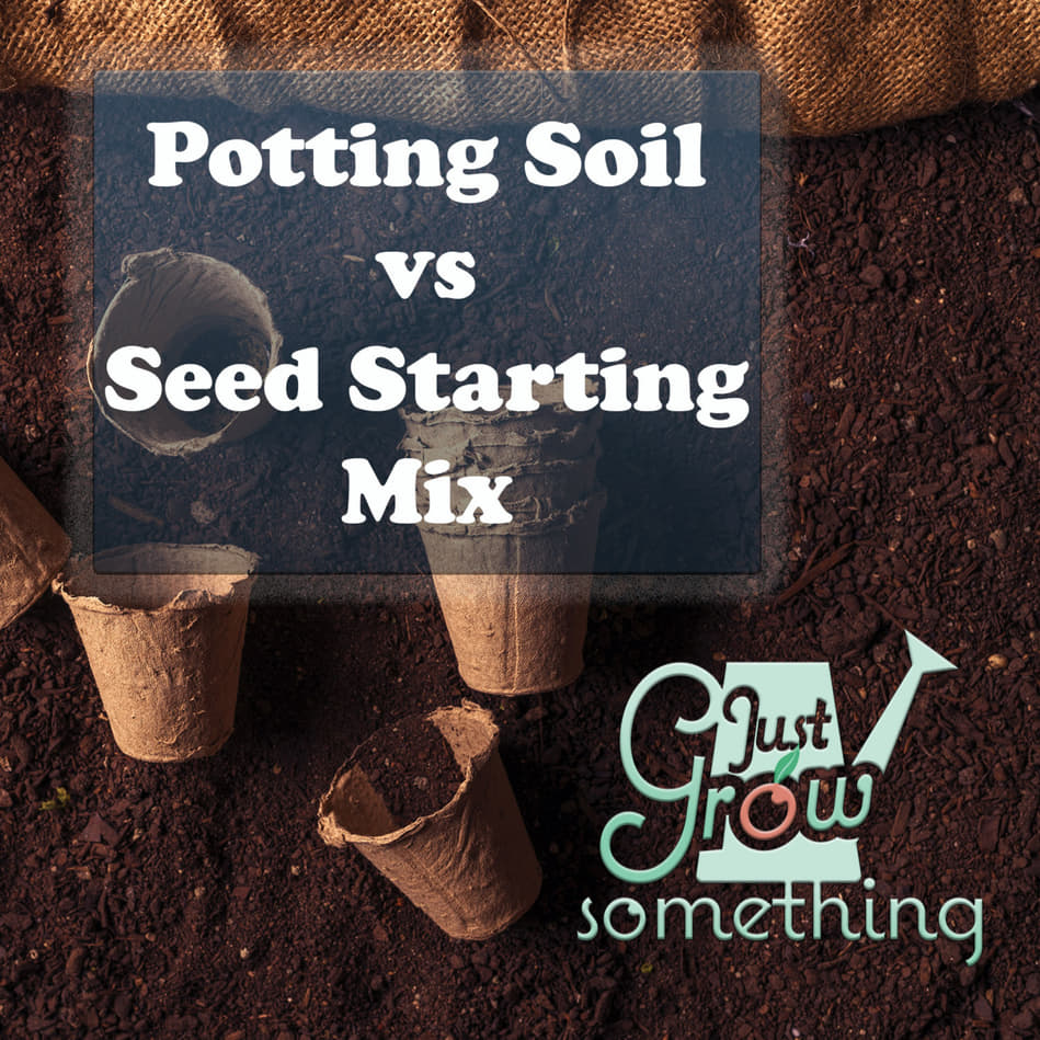 Ep. 78 - Seed Starting Mix vs Potting Soil, plus How to Make Your Own |  Just Grow Something with Karin Velez