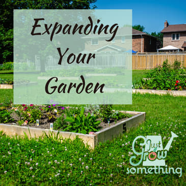 Ep. 87 - Expanding Your Garden