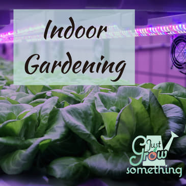 Ep. 90 - Indoor Gardening