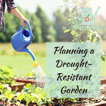 Ep. 122 - Planning a Drought-Resistant Garden: Tips, Tricks, and Techniques