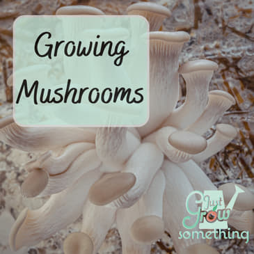 Ep. 140 - Growing Mushrooms