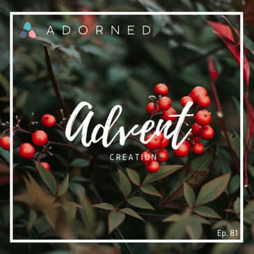 Ep. 81 - Advent - Creation