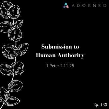 Ep. 135 - Submission to Human Authority - 1 Peter 2:11-25
