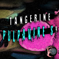CLANCYPASTA | "Tangerine Pulpavine's!" by ClancyPasta