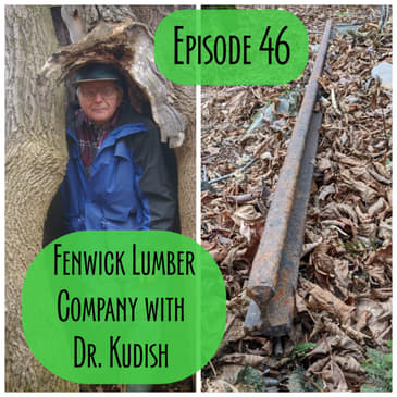Episode 46 - Fenwick Lumber Company with Dr Kudish