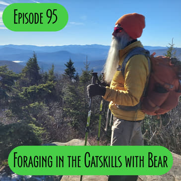 Episode 95 - Foraging in the Catskills with Bear