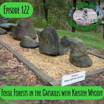 Episode 122 - Catskill Fossil Forests with Kristen Wycoff
