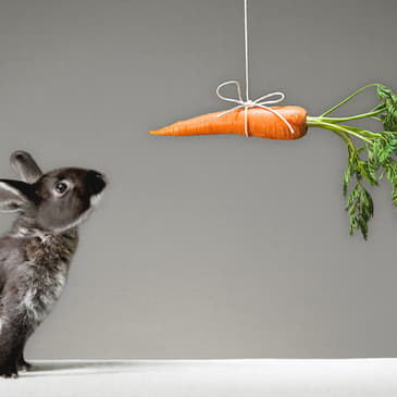 Employers Are One Of The Main Barriers Blocking The Pursuit Of Life, Liberty And Happiness