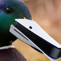 EP 12: "Dip the whole leg in....."