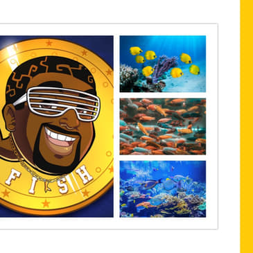 Solving Industry Problems and Building Marketplaces in Decentralized Finance and NFTs, with Trader Joe.