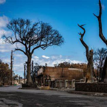 Episode 384: New Orleans and Maui