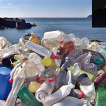 Episode 445: Plastic Issue in California