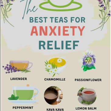 Episode 490: Herbal Teas for Your Health