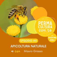 Apicoltura naturale - con Mauro Grasso