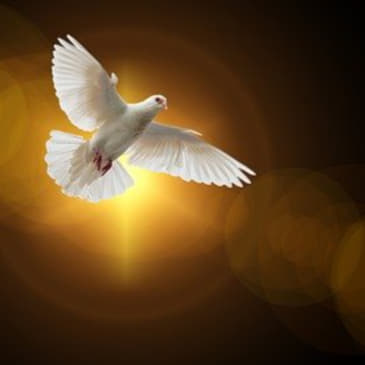 Peran Roh Kudus dalam hidup Keluarga Katolik