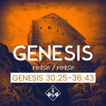 Genesis 30:25-36:43
