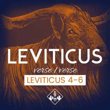Leviticus 4-6