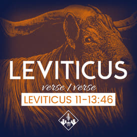 Leviticus 11-13:46