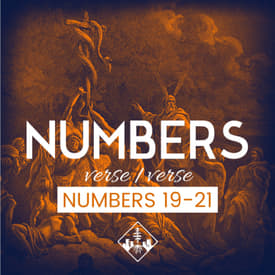 Numbers 19-21