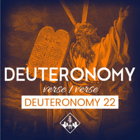 Deuteronomy 22