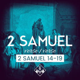 2 Samuel 14-19