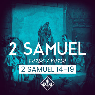 2 Samuel 14-19