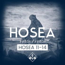 Hosea 11-14