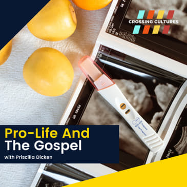 20. Pro-Life and the Gospel