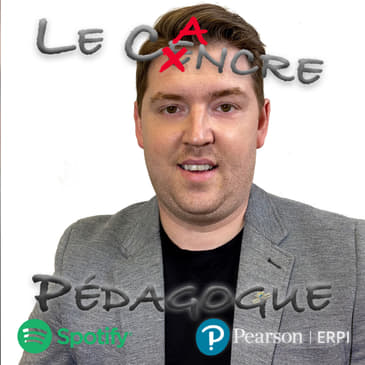 Le Cancre Pédagogue s'entretien avec Étienne Couture, Directeur des loisirs, des sports, de la culture et de la vie communautaire chez Ville de Princeville.