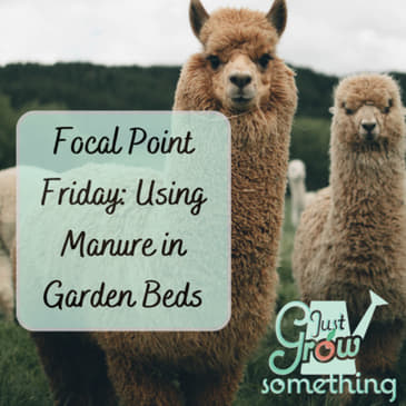 Focal Point Friday: Manure in the Garden