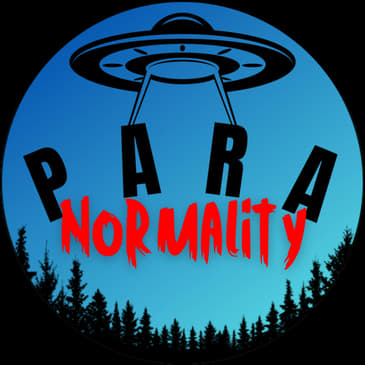 Twentynine Palms UFO, Jeremy Corbell &amp; Flares #8