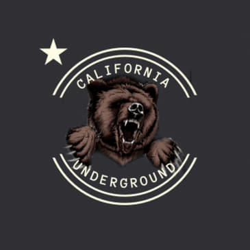 Episode 110 - Fact Checking Newsom's Appearance on The View