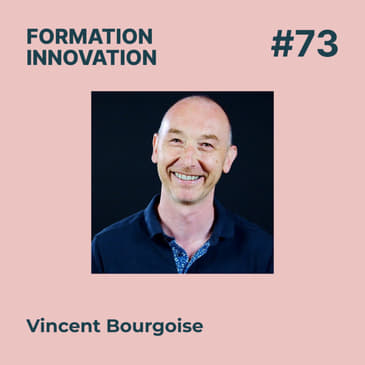 #73 - Stratégie Pédagogique : les conseils d'un expert pour favoriser la montée en compétences, avec Vincent Bourgoise - Diginnovative
