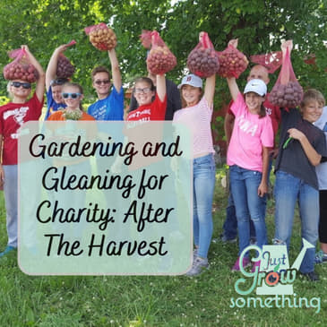 Ep. 144 - Gardening and Gleaning for Charity: After The Harvest