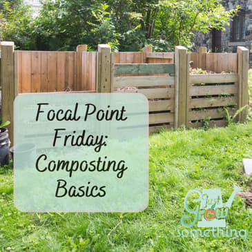 Focal Point Friday: Composting Basics
