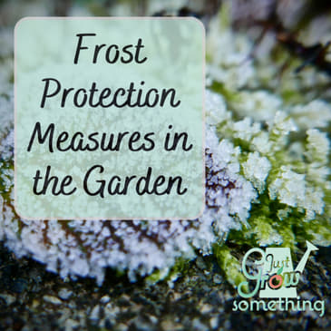 Frost Protection Measures in the Garden - Ep. 167