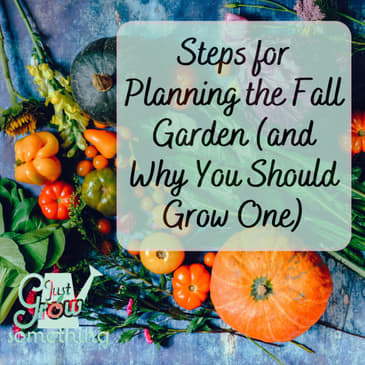 Steps for Planning the Fall Garden (and Why You Should Grow One) - Ep. 205