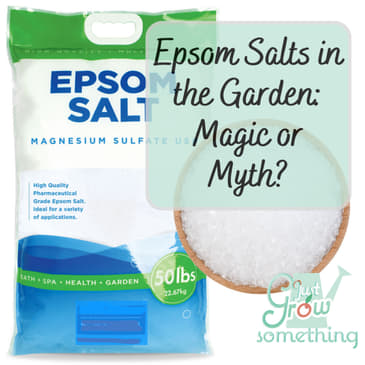 Epsom Salts - Magic or Myth? - Ep. 206