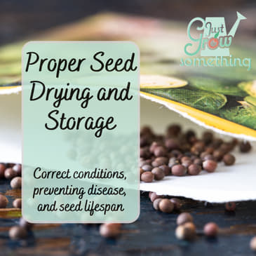 Proper Seed Drying and Storage - Ep. 216