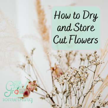 How to Dry and Store Cut Flowers - Ep. 219