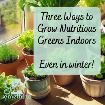 Three Ways to Grow Nutritious Greens Indoors - Ep. 224