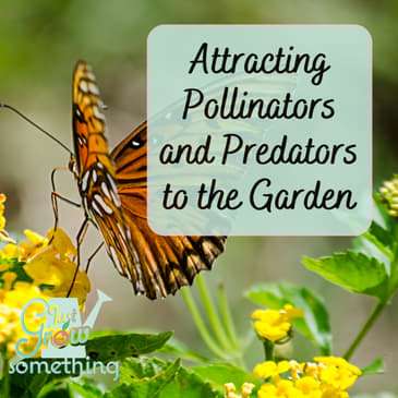 Attracting Pollinators and Predators to the Garden - Ep. 229